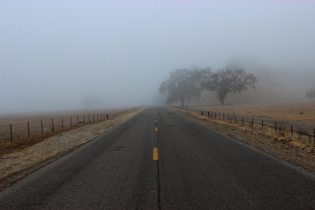 Figueroa Mountain foggy Road