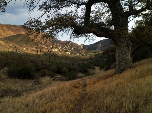 Potrero Trail San Rafael Wilderness