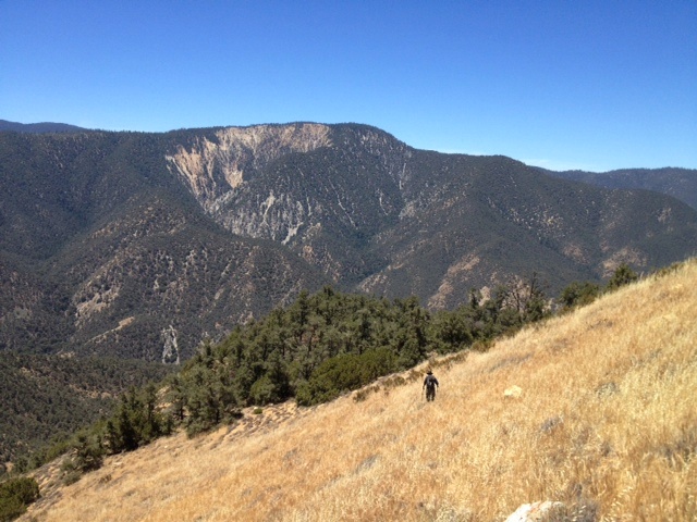 San Emigdio Canyon Wind Wolves Preserve Hiking